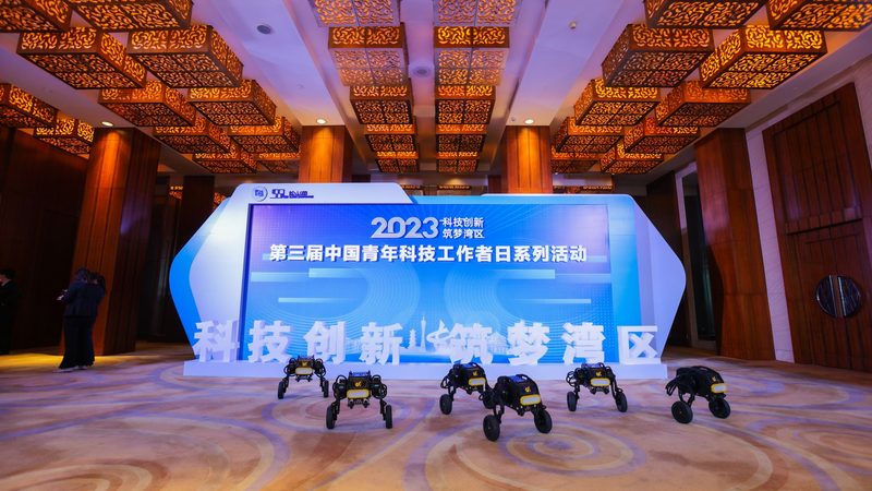 企业搜索案例库：揭秘高效信息检索的秘密武器**